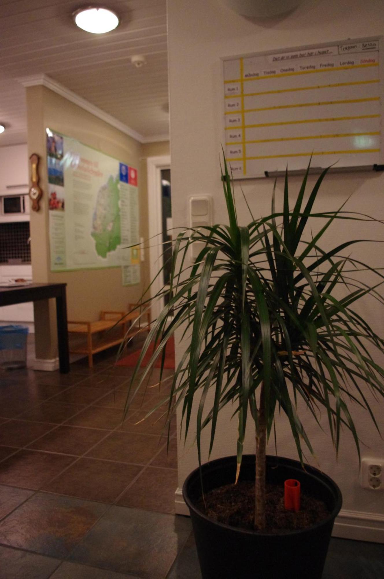 Aeventyrsgardens Vandrarhem, Kinnekulle Källby Zewnętrze zdjęcie